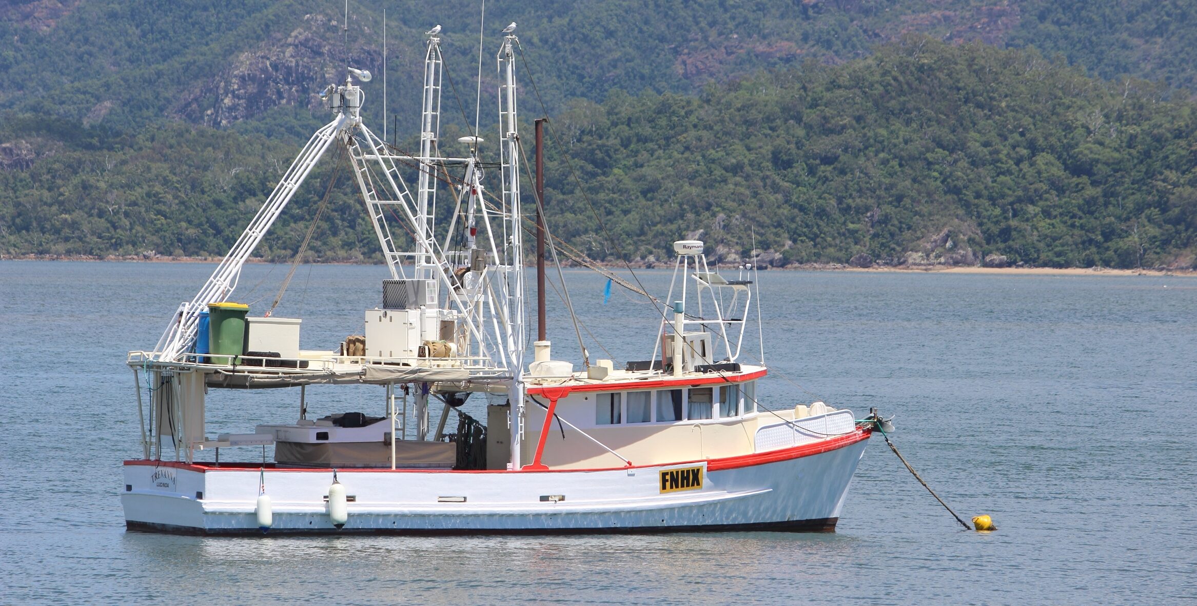 FILE …. Queensland is pushing for a 51% rise in commercial fishing quotas for Spanish mackerel. Photo: ANDREW KACIMAIWAI