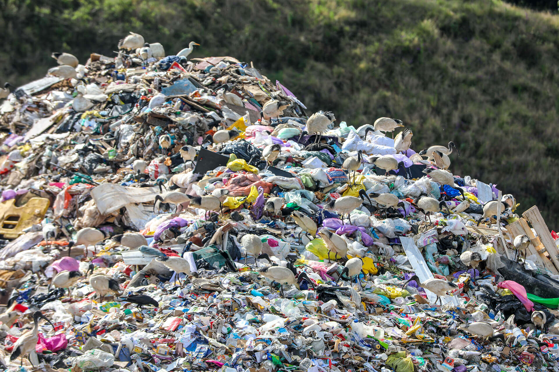 The Lismore waste sorting landfill facility after the 2021-22 floods. Photo: Nick Ryan/EPA