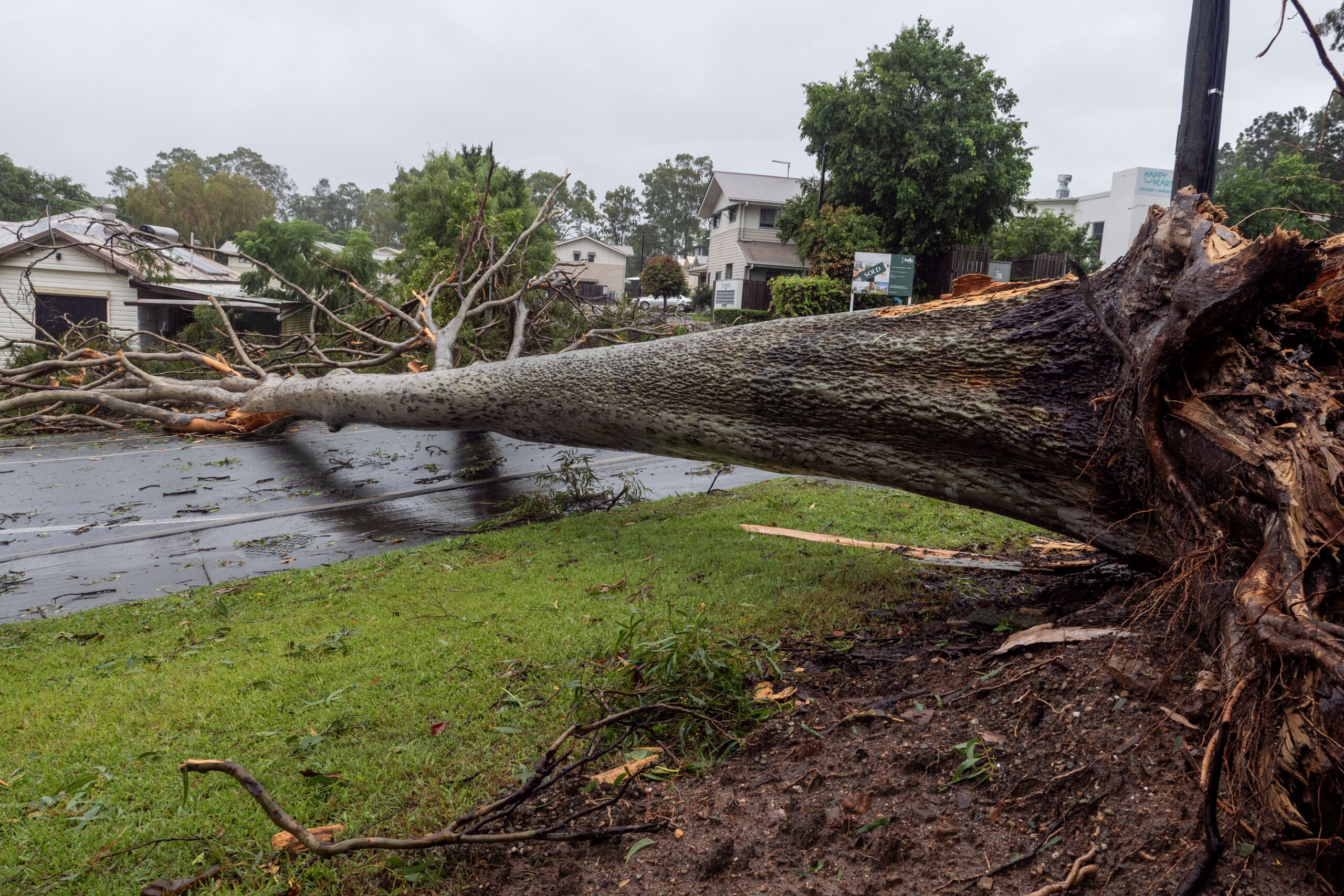 Storms ... weather damage at Petrie, northern Brisbane, caused by the visit by Tropical Cyclone Alfred early this year.
