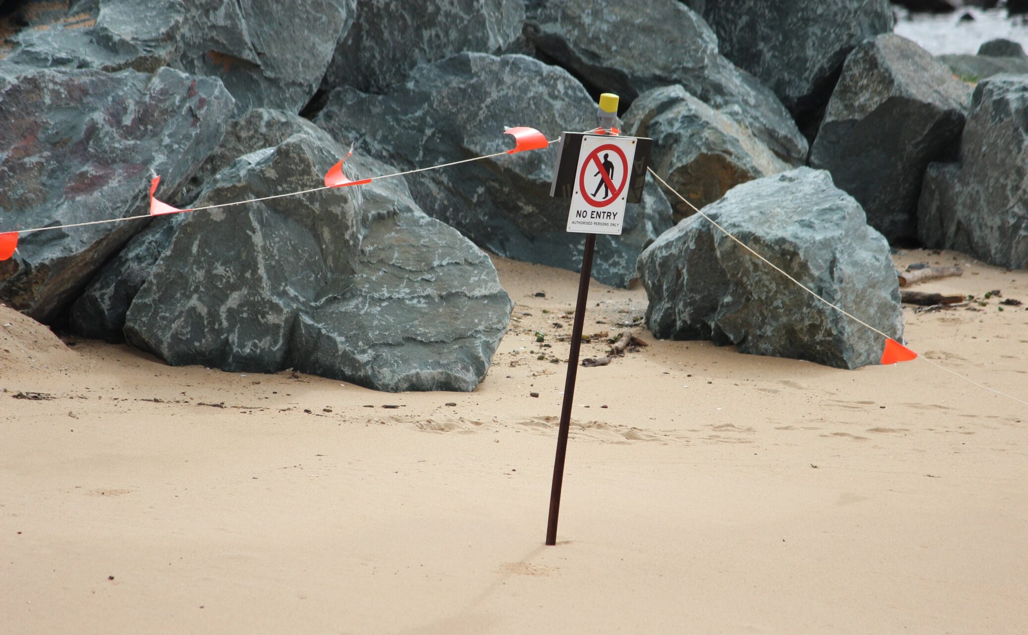 Work under way to fortify the coastline at Redcliffe, north Brisbane. Photo: ANDREW KACIMAIWAI