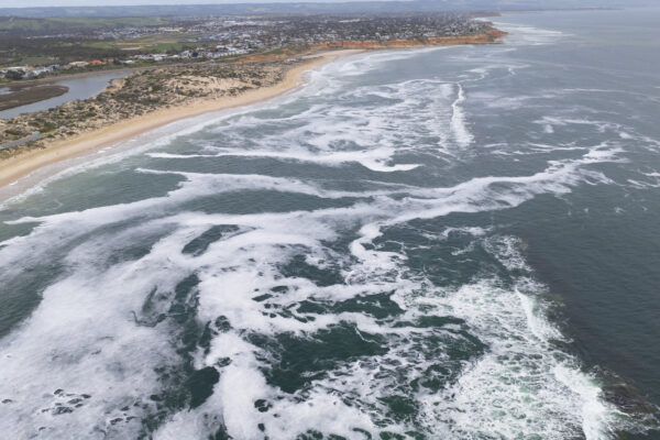 Large oyster reefs can help stop SA’s algal bloom from suffocating marine life, the TNC says. Photo: Jarrod Boord/TNC.