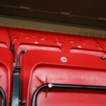 Ashes series wrapped up 2-0 after police arrest pitch invader in Liverpool