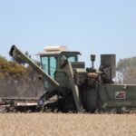 Politics to have a bigger say on global food markets in 2026, says Rabobank