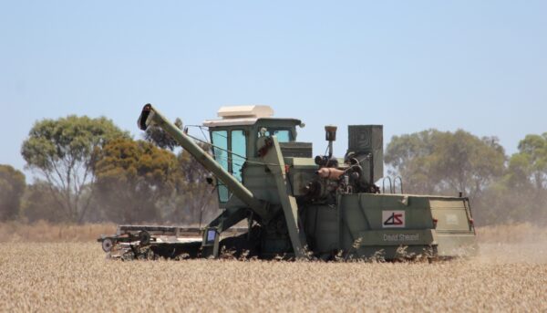 Politics ... Australian food exporters are facing US challenges in key Asian markets. Photo: ANDREW KACIMAIWAI
