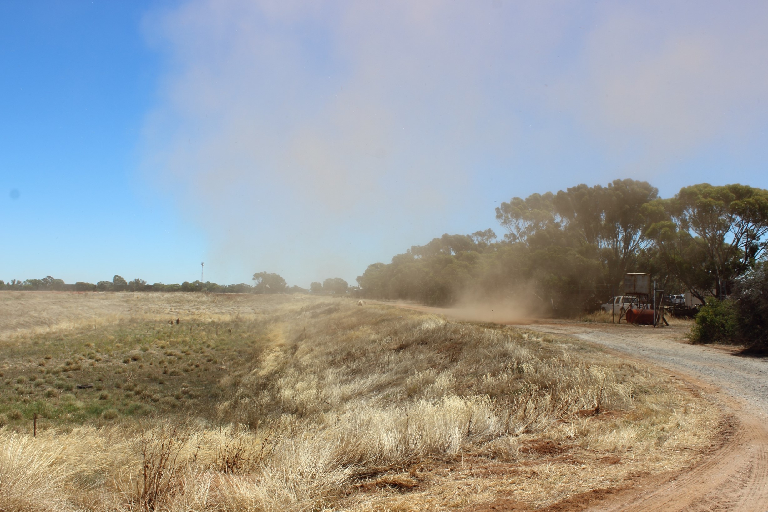 AI is helping some old questions in droughts science, says researchers. Photo: ANDREW KACIMAIWAI.
