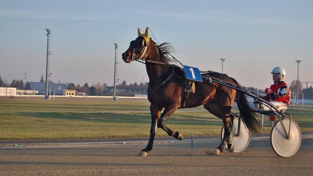 FILE … Harness racing will stay in Brisbane, the state government says. Photo: DonnaSenzaFiato/ www.pixabay.com.