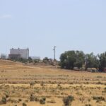 Farmers looking to a more stable 2026 as spending confidence grows: rural survey