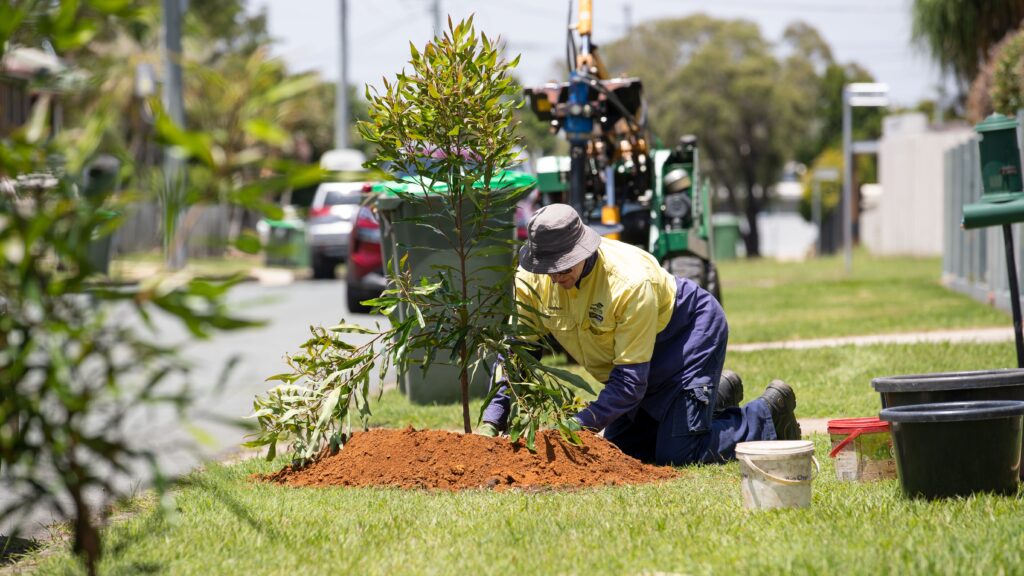 Channon Malt planting trees at Kallangur, Moreton Bay, Brisbane. Photo: Moreton Bay council