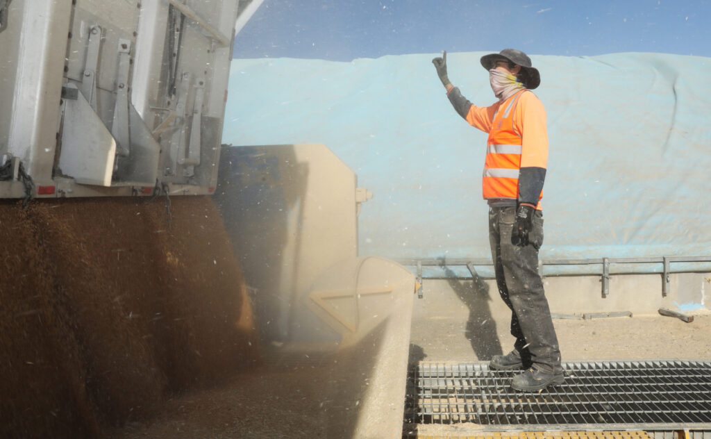 geopolitical ... the recent winter grain harvest was the second largest on record, Rabobank says. Photo: supplied