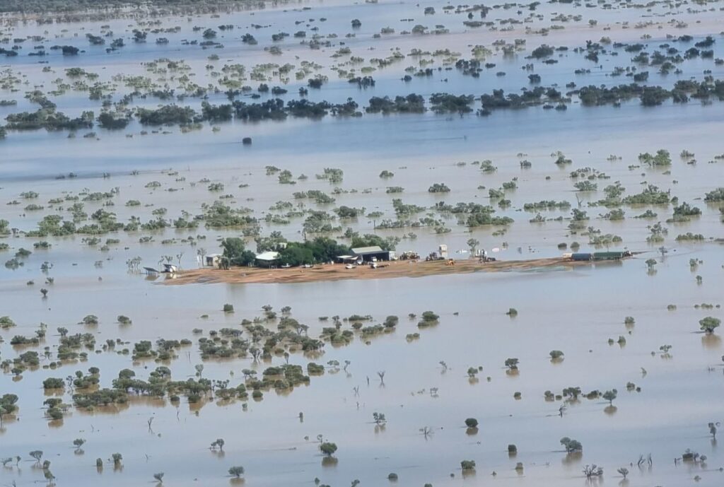 pigs .... A flooded property in south-western Queensland last year. Photo: Queensland Fire Department
