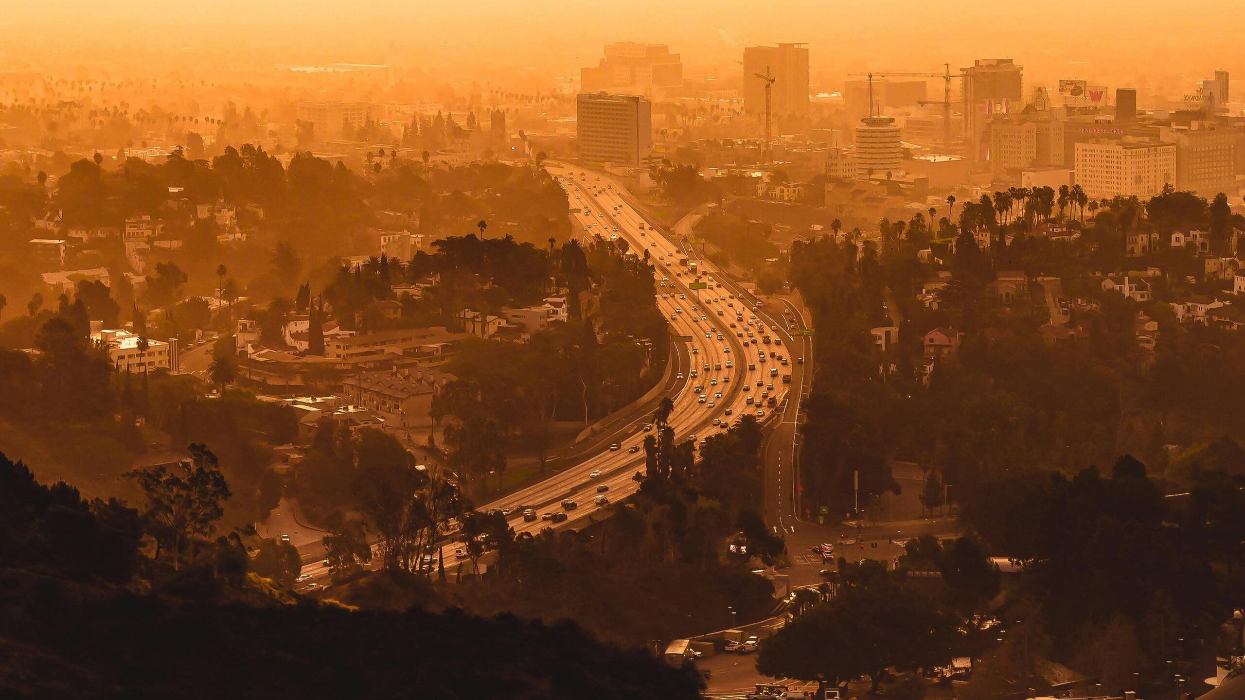 The Los Angeles fires of 2025 may be repeated in Australia, a new report warns. Photo: John Wayne/Pexels