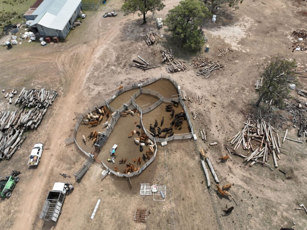 The Dubbo property where the cattle were recovered. Photo: Qld Police