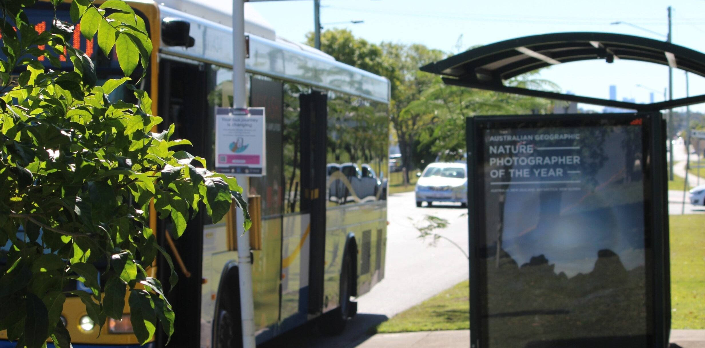 50 cent ... Another 50 Brisbane buses are earmarked for upgrades. Photo: ANDREW KACIMAIWAI.