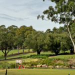 Cammeray golf course move by NSW Govt tees off North Sydney mayor