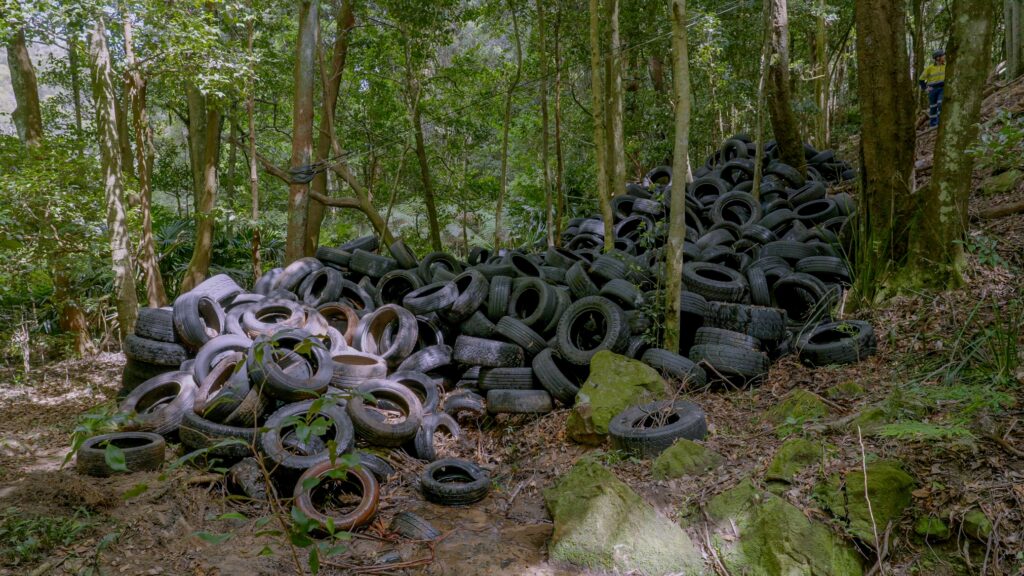 Dumping .... tyres found dumped at Macquarie Pass National Park in the Illawarra last year. Photo: NSW EPA