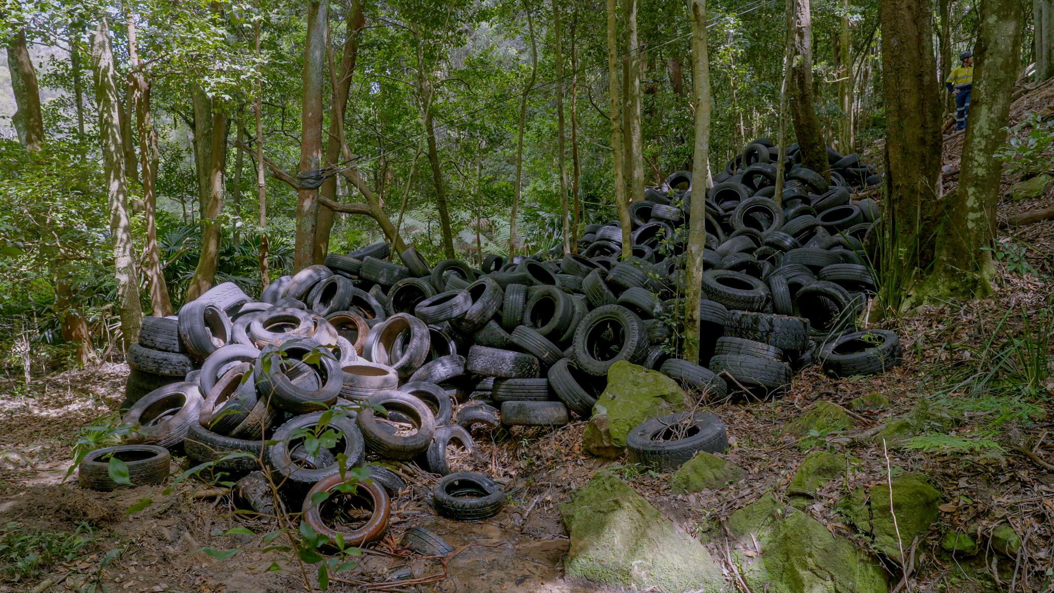 Dumping .... tyres found dumped at Macquarie Pass National Park in the Illawarra last year. Photo: NSW EPA