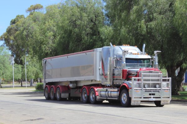 Grain shipments to the EU face tariffs and other barriers. Photo: ANDREW KACIMAIWAI