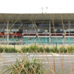 Greyhound racing in Sydney facing a ‘perfect storm’, says coalition, as GRNSW rejects $10m compensation offer