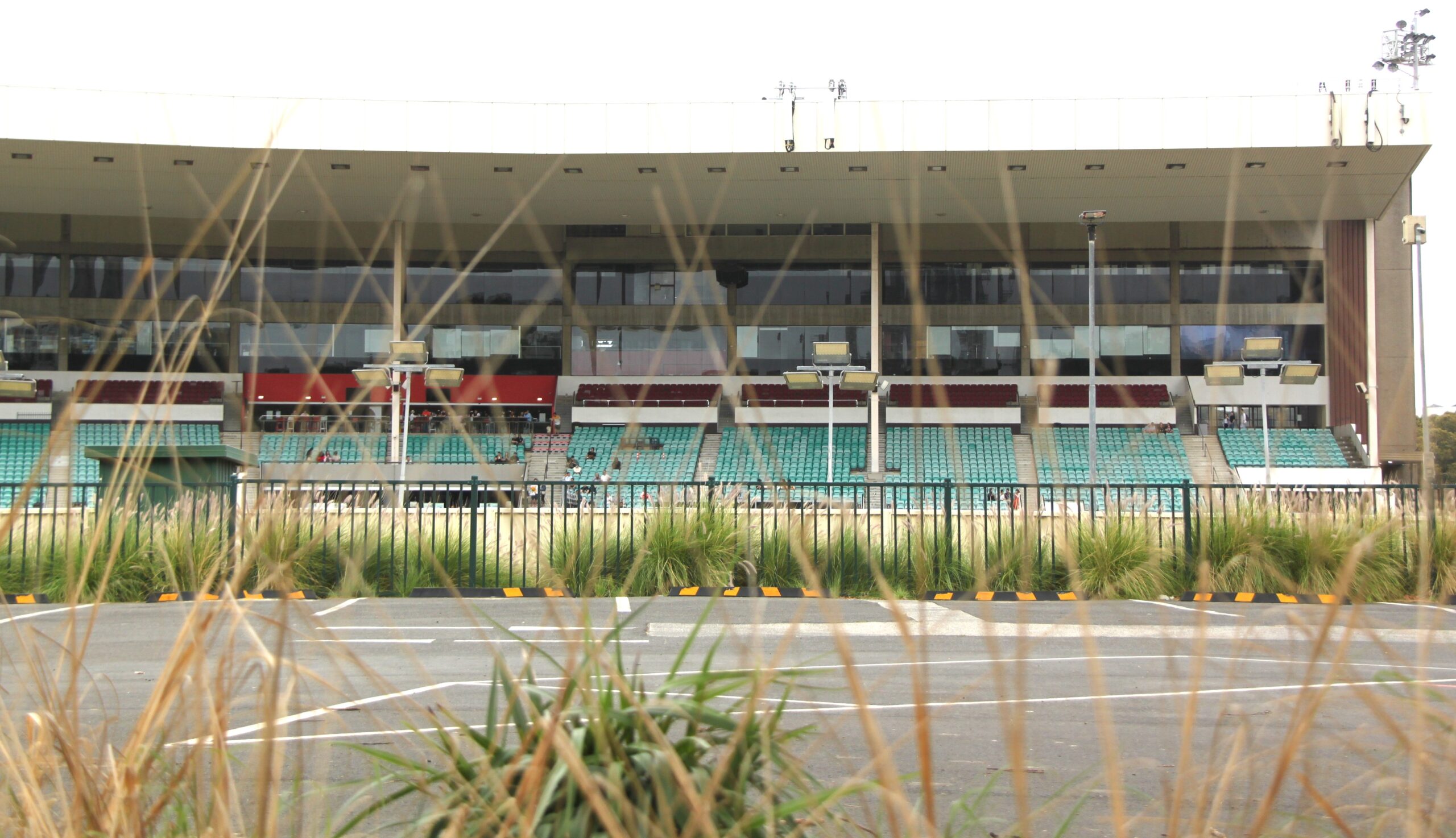 Wentworth Park is to be developed for housing after the racing lease expires next year. Photo: supplied/ Coalition for the Protection of Greyhounds