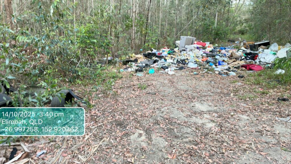 cows ... An illegal dumpsite at Elimbah. Photo: Moreton Bay City Council.