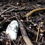 New microplastics report identifies NSW’s top 10 contaminated waterways