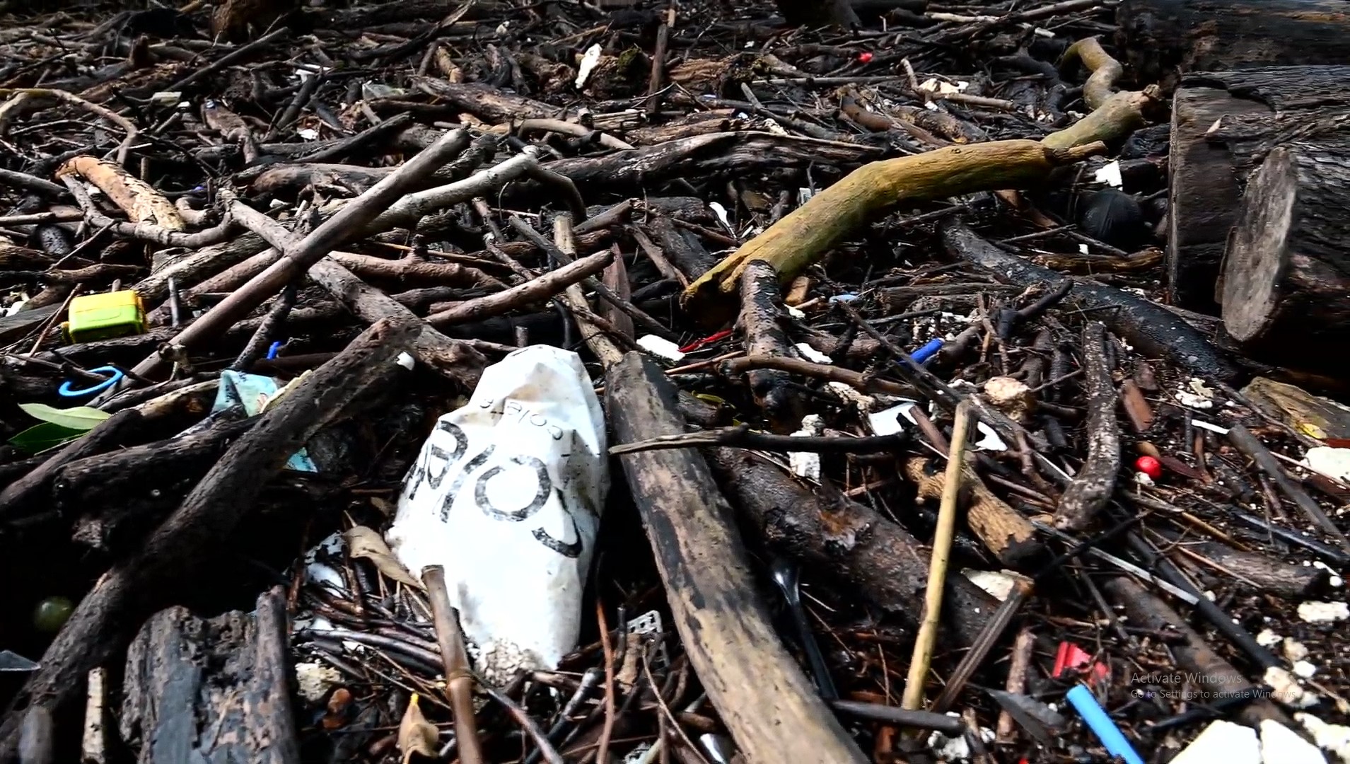 Some of the microplastics pollution in the Cooks River. Image: supplied.