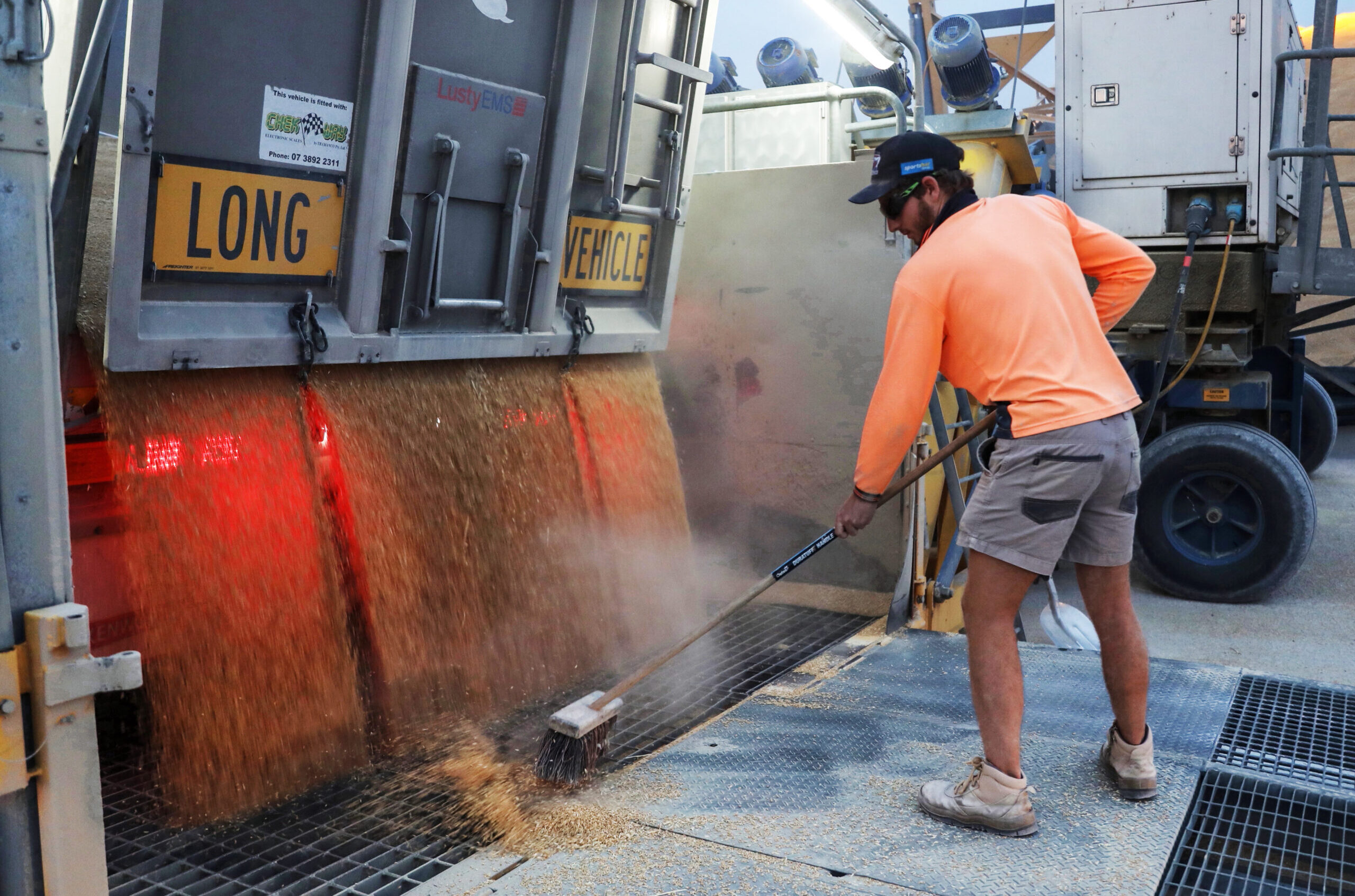 FILE … A casual working during the NSW grain harvest season. Photo: suppliedFILE … A casual working during the NSW grain harvest season. Photo: supplied