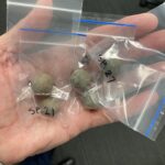 Musket balls, artefacts from 1790s given new home after illegal removal from Qld island park