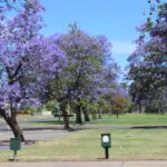 Fuel supply crisis prompts new taskforce as impact doubles down in regional areas