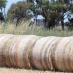 Farming confidence ‘was already falling’ before war in Middle East