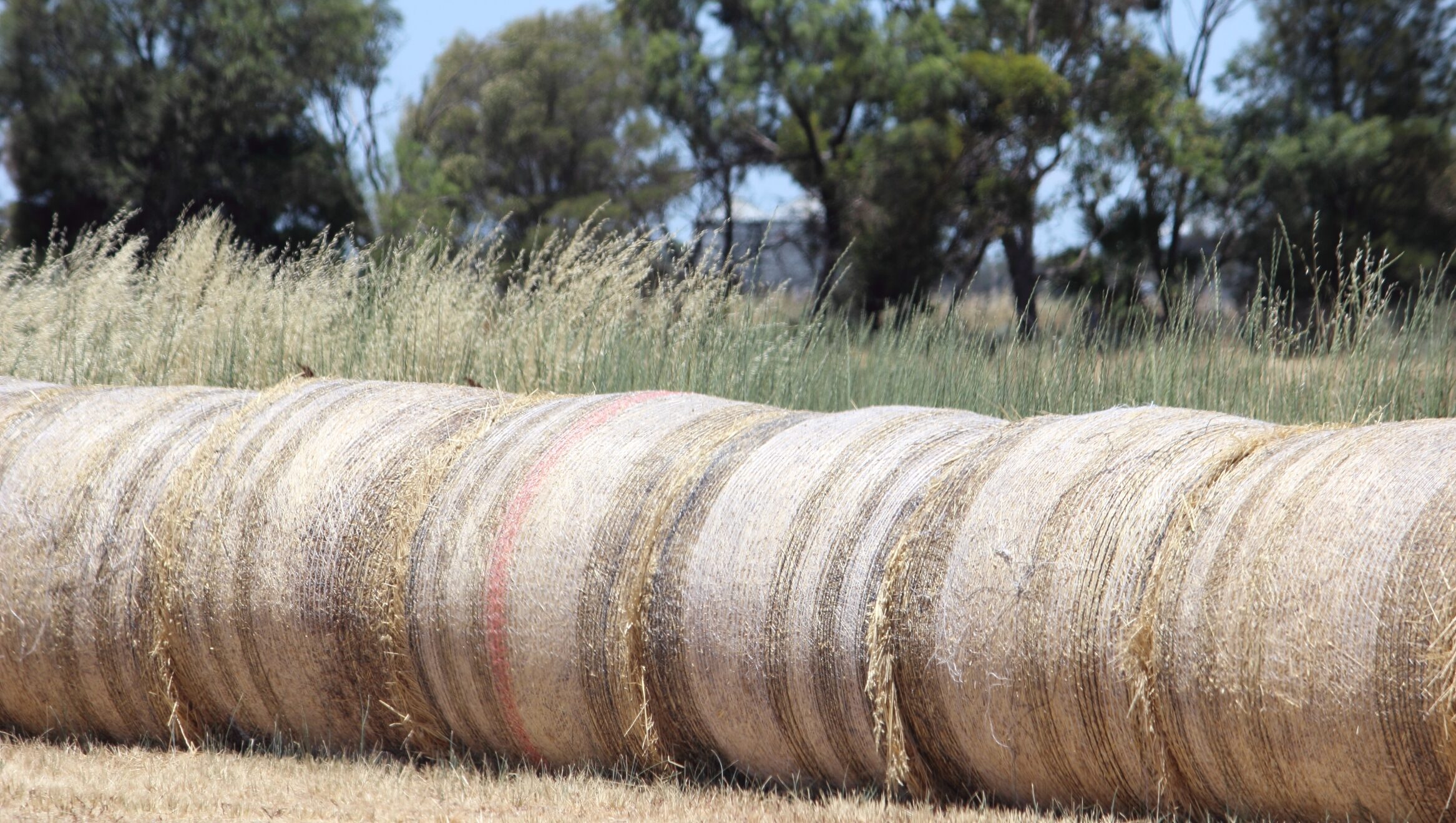 Farming … grain bales in northern Victoria. The state is continuing to recover from its summer bushfires. Photo: ANDREW KACIMAIWAI
