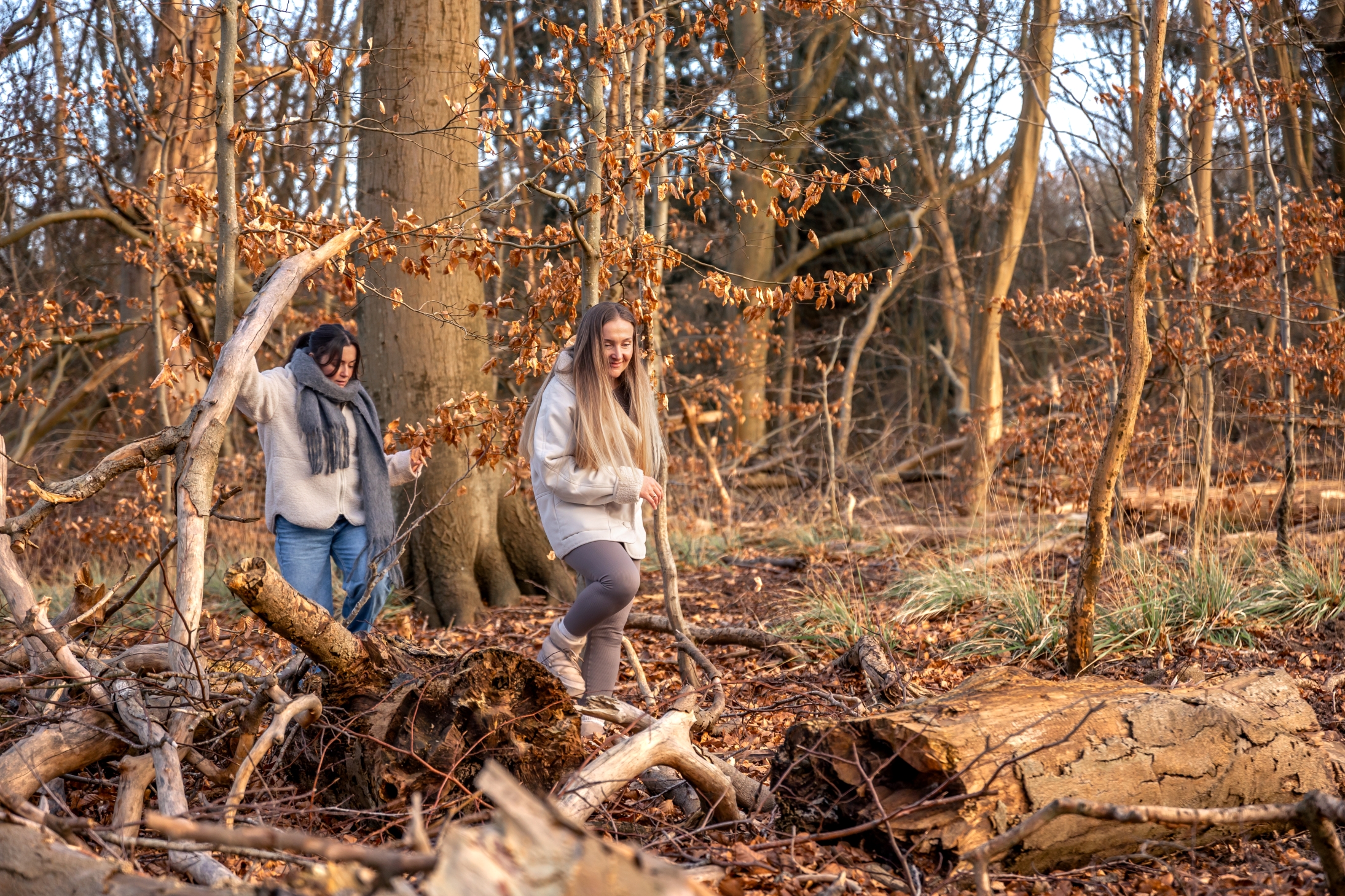Europe says it needs to protect nature to help fight a growing bushfire threat. Photo: pvproductions on Freepik.