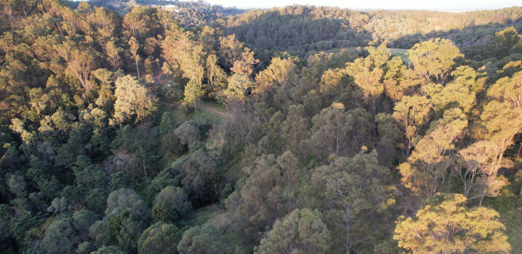 18 Jagera Court at Closeburn is a new council property with fire trails. Photo: Moreton Bay City Council