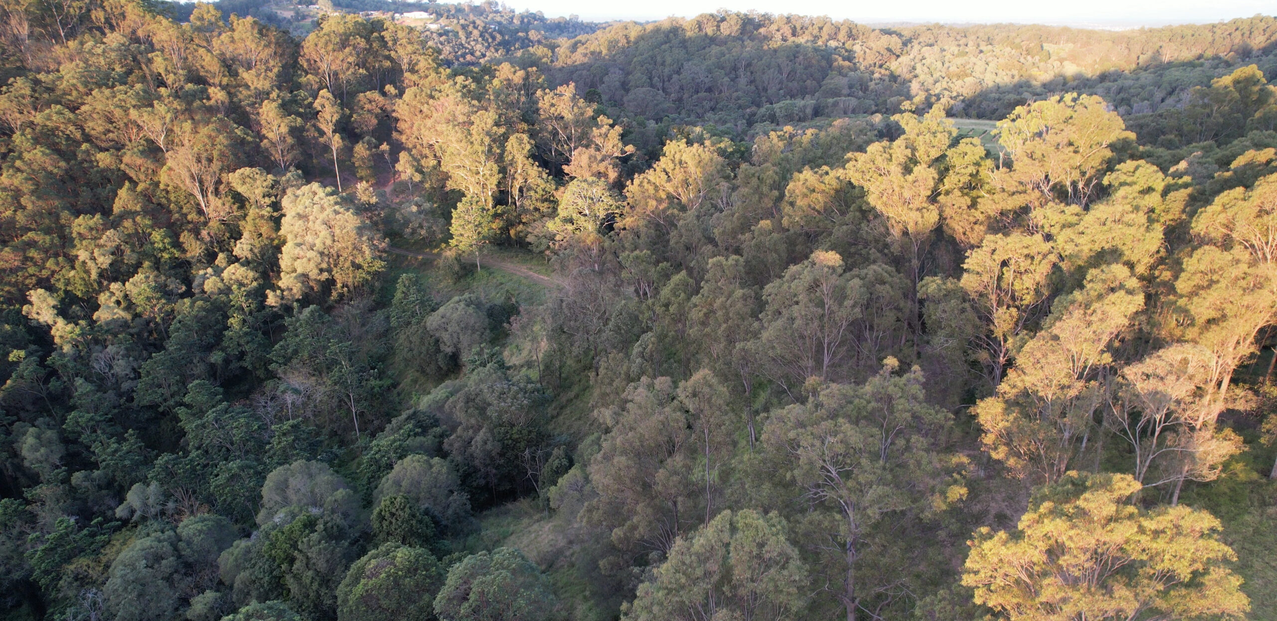 18 Jagera Court at Closeburn is a new council property with fire trails. Photo: Moreton Bay City Council