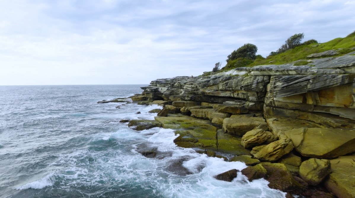Wylie’s Baths at Googee, Sydney, is the site of a reforesting project. Photo: www.forestswithoutnames.com