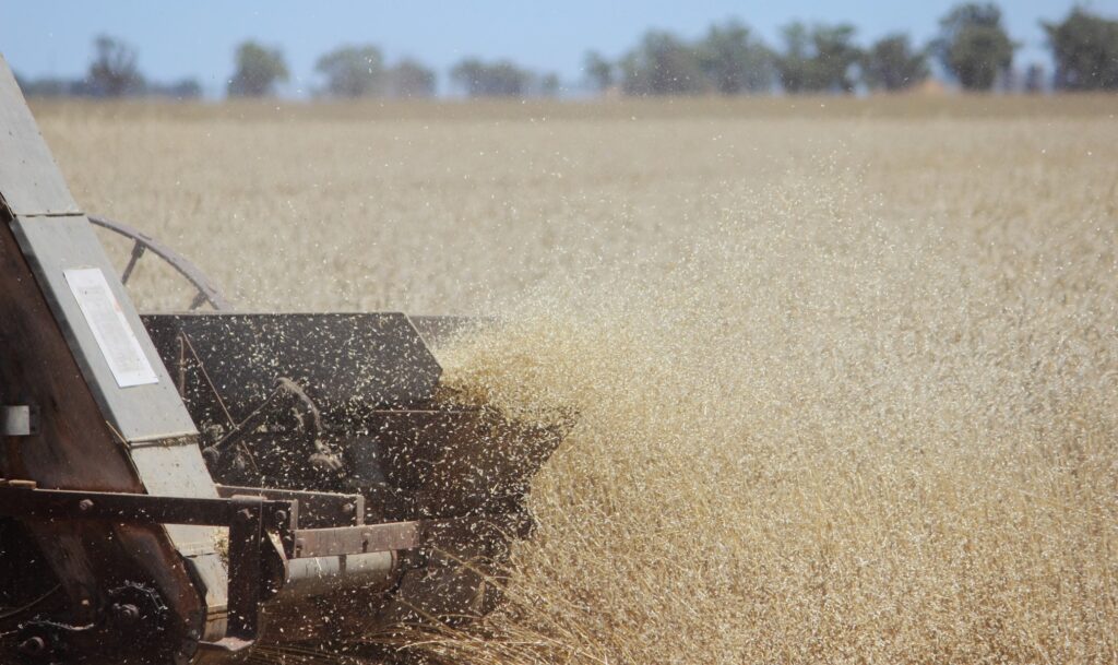 The new deal with Indonesia will only cover 20% of the current growing season’s needs, says PM Albanese. Photo: ANDREW KACIMAIWAI