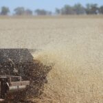 Indonesia to export 250,000t more urea which still can’t fill shortfall for current growing season