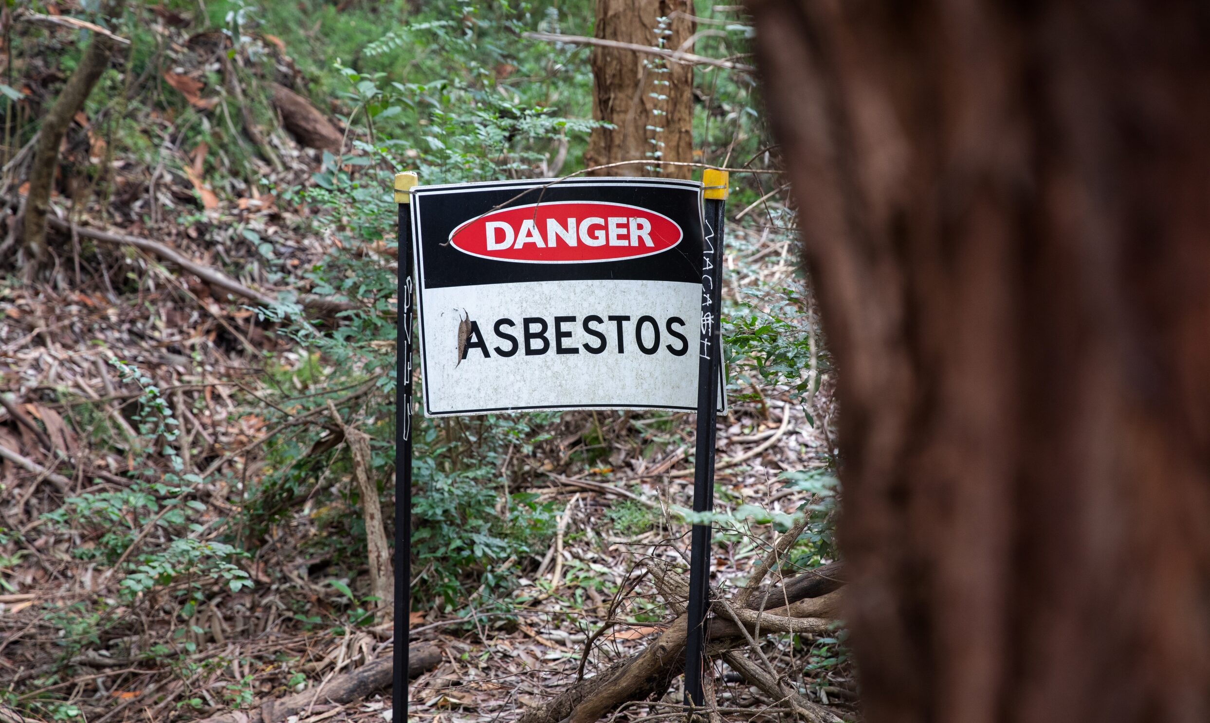 Councils are having to deal with construction waste continuing to be dumped. Photo: NSW EPA.