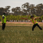 RoBird takes to the skies to protect $100m strawberry crops from the real thing