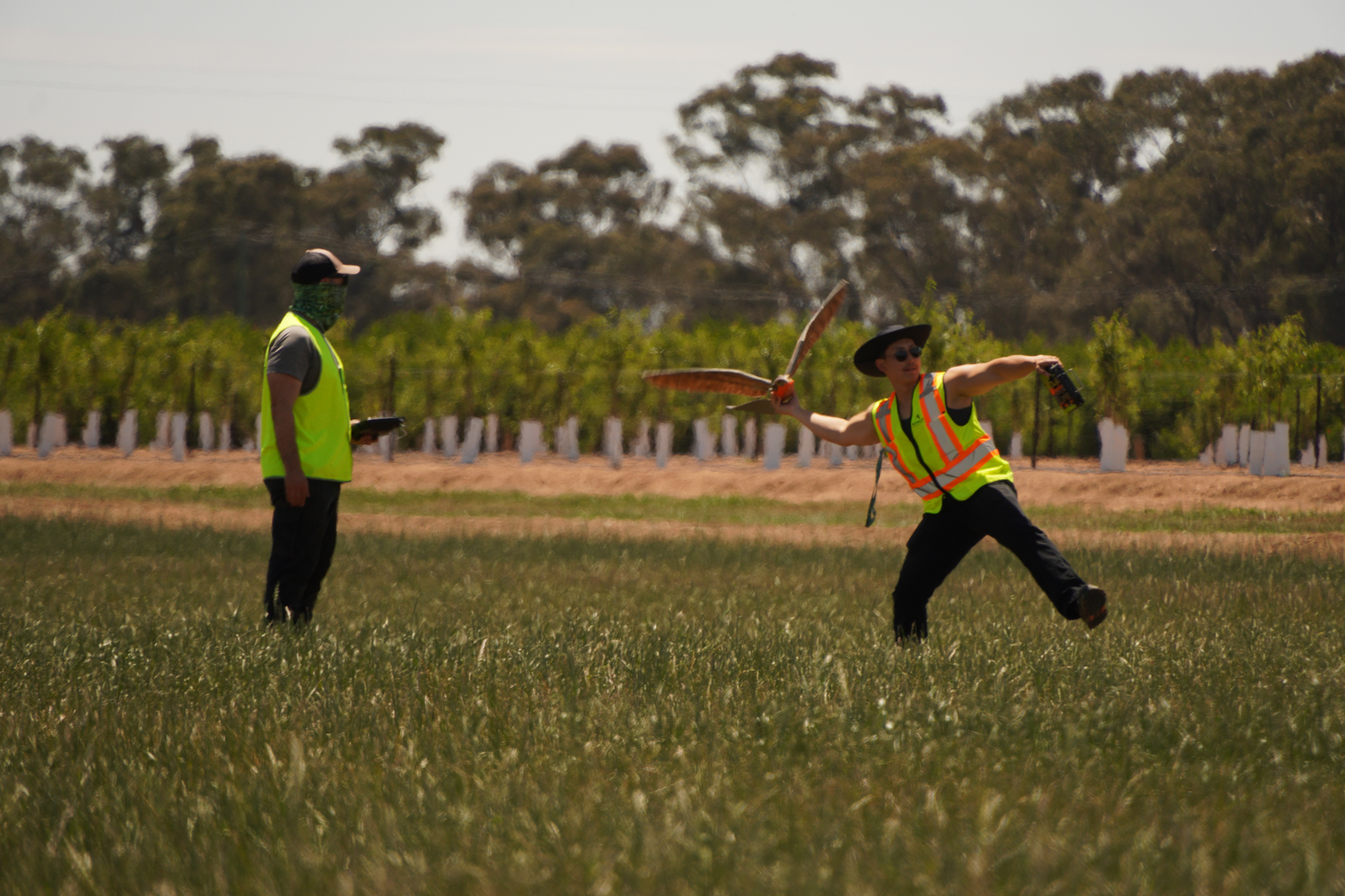 The RoBird drone was tested at Shepparton, Victoria, from November 2025 to May 2026. Picture: AERIUM Analytics