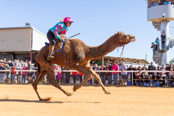 Race day at Boulia. Photo: Matt Williams/supplied.