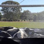 Growing toll of heatwaves on Australian agriculture to be studied