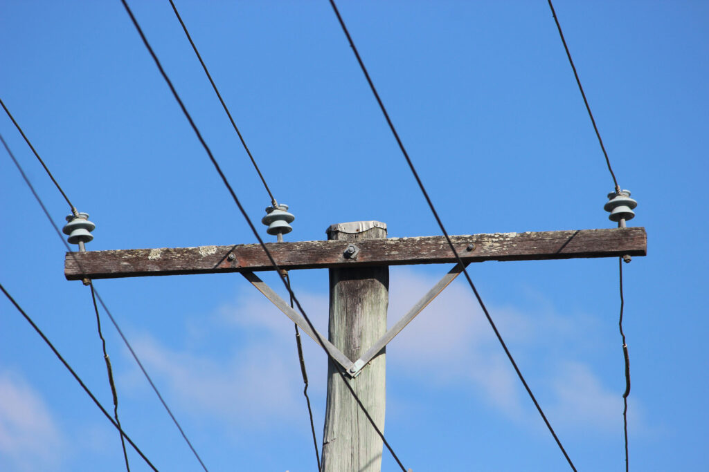 Evolution ... Power supply resilience is likely to be a growing problem as useage increases, says a report. Photo: ANDREW KACIMAIWAI