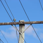 Technological evolution, climate set to supercharge demand on power grids: report