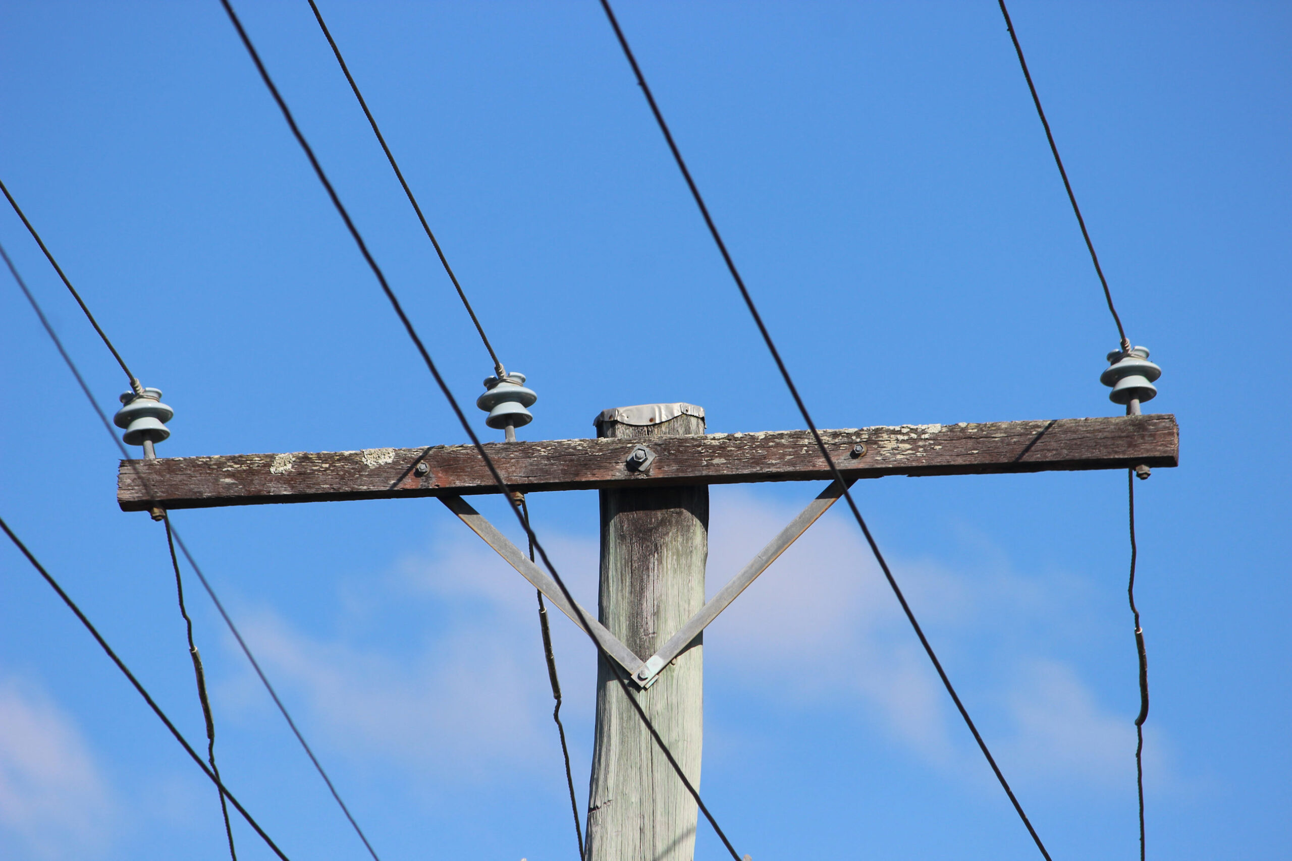 Evolution ... Power supply resilience is likely to be a growing problem as useage increases, says a report. Photo: ANDREW KACIMAIWAI