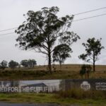 New data centres will derail switch to renewable energy, Greenpeace warns