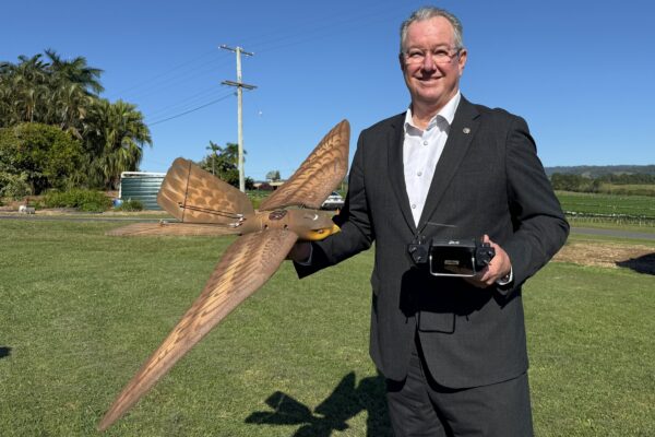 Moreton Bay Mayor Peter Flannery with RoBird at the Taste'n'See farms in Bellmere, Queensland.