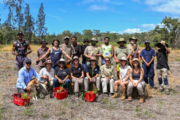 Members of WWF-Australia, rangers and others planted koala food and habitat trees. Photo: WildBnB/Minyumai Rangers