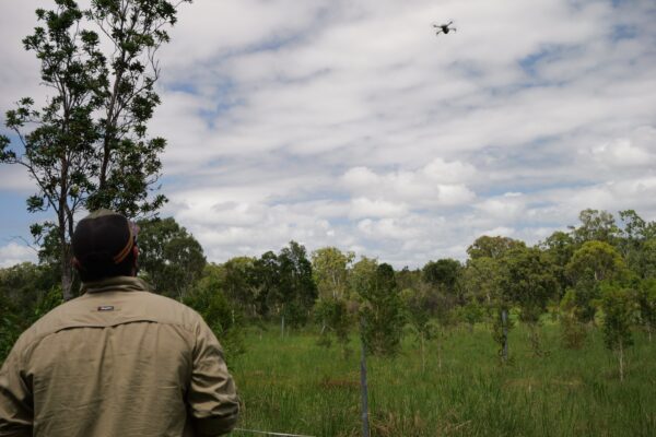 Ranger Supervisor Harry Wilson flies a drone used to monitor habitat. Photo: Minyumai Rangers.
