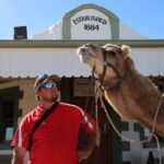 Camels returning to heat up outback towns for three hectic weeks